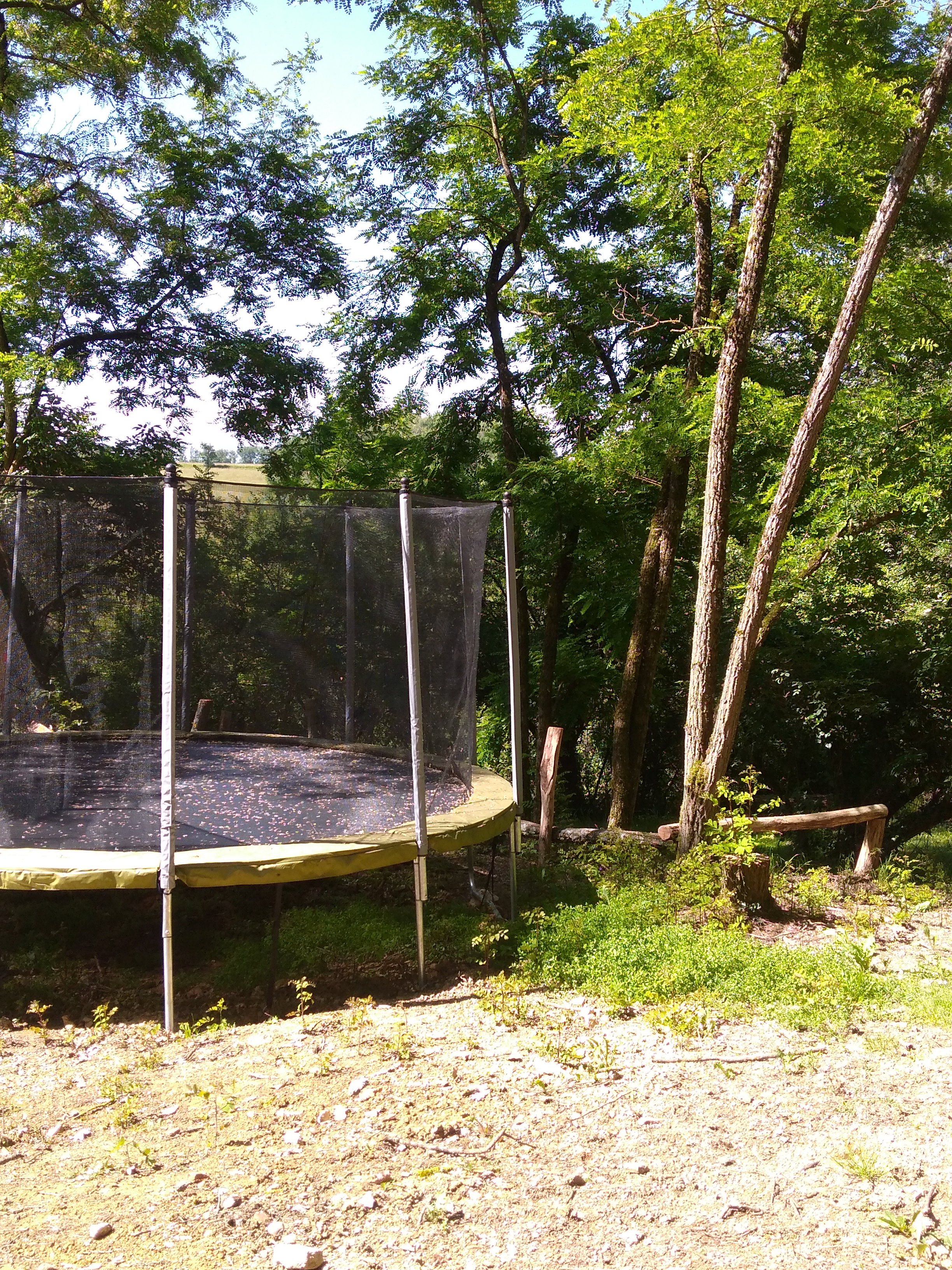 trampoline